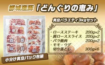 「どんぐりの恵み豚」真空バラエティ3kgセット_19-1102_(都城市) 銘柄豚肉 どんぐりの恵み ロースステーキ バラ焼肉 肩ローススライス モモ ウデ切落とし 200g 300g