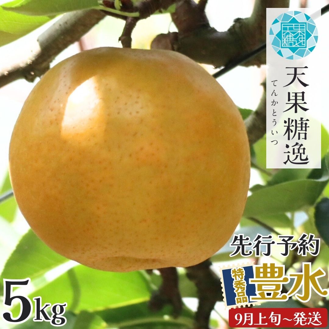 【ふるさと納税】先行予約 和梨 豊水 特秀品 約5kg [9月上旬から発送予定] 糖度13度以上を厳選 8～14玉 令和7年度 新潟県産 天果糖逸 [JAえちご中越]【013S062】
