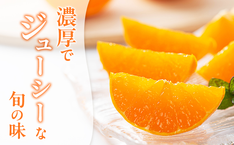 【2026年3月頃より順次発送】柑橘の女王『せとか美人』施設栽培 約3kg 果物類 柑橘類 フルーツ 静岡県産