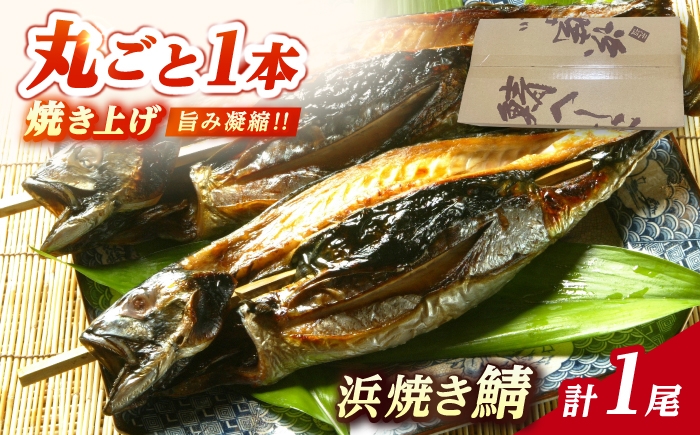 
            浜焼き鯖 400g  1尾 【配送不可地域：離島】 小浜市 / 朽木屋 [BFCM004] 
          