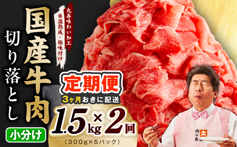 【分けて届く定期便】国産牛 切り落とし 1.5kg 小分け 300g×5P【氷温熟成×極味付け 国産 牛肉 訳あり サイズ不揃い カレー 牛丼 野菜炒め 肉じゃが 全2回 大阪 泉佐野 大阪府 泉佐野市】
