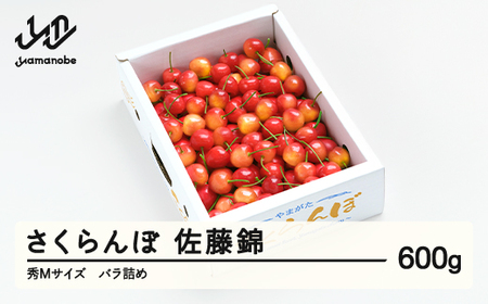 【先行予約】さくらんぼ 佐藤錦 秀Mサイズ バラ詰め 600g (600g×1箱) 2026年産 令和8年産 山形県産 ns-snsmb600