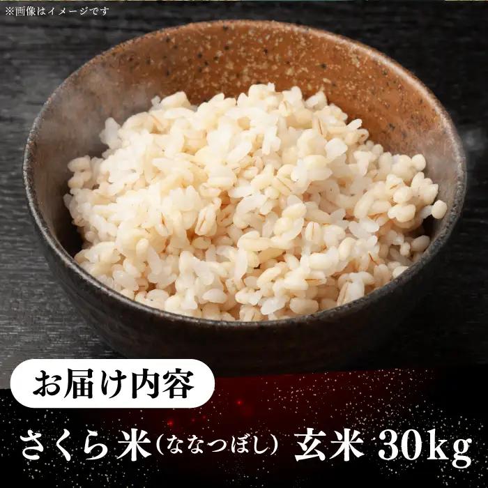 【令和7年産】 玄米 ななつぼし さくら米 30kg 玄米 [AXAB036]