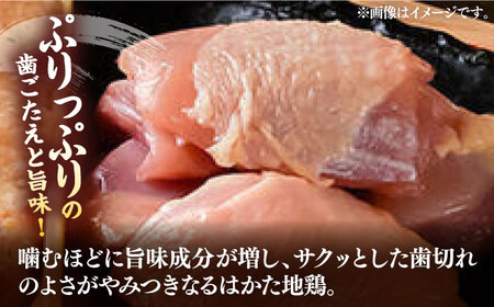 はかた地鶏モモムネセット 2kg（1kg×2p）《豊前市》【MEAT PLUS】鶏 鶏肉 もも 胸 [VBB038]