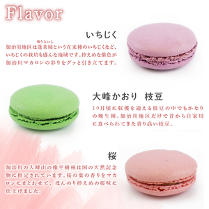 マカロン イチジク 枝豆 桜 苺 はちみつ レモン 苺 枝豆 マカロン 洋菓子 菓子 マカロン スイーツ 甘味 新潟 新発田 sinpo002