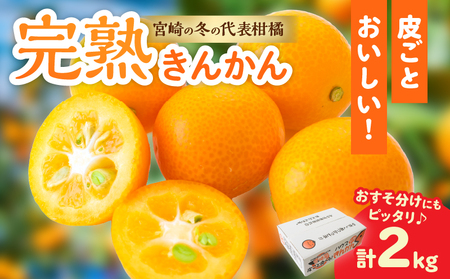 完熟きんかん 計2kg 期間限定 数量限定_BAV9-25