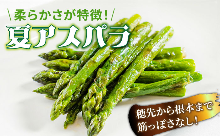 【2026年5月下旬～発送】【数量限定】甘い！柔らかい！【星のアスパラ】厳選 グリーン アスパラガス 約1kg / アスパラ あすぱら あすぱらがす 採れたて 新鮮 旬 産地直送 野菜 2L・L・Mサ