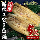 【ふるさと納税】 国産 新仔 うなぎ 白焼 酒蒸 食べ切りサイズ 5尾セット ふっくら 柔らか 鰻本来の旨味 ワサビ醤油 蒲焼のタレ 山椒付き 湯煎 簡単調理 贈答用 ギフト 冷蔵配送 茨城県 潮来市 (A23-029)
