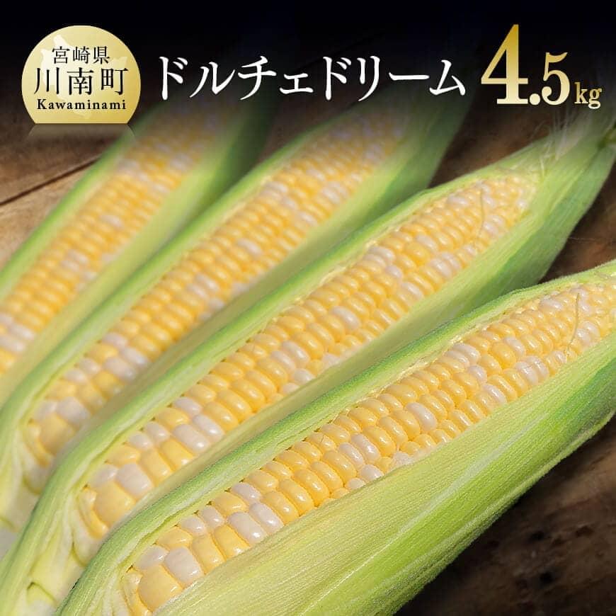 【ふるさと納税】※レビューキャンペーン※ 【令和7年発送】宮崎県産とうもろこし　大山さんちのスイートコーン「ドルチェドリーム」4.5kg - 先行予約 数量限定 期間限定季節限定 送料無料 2025年発送 九州産 宮崎県産 川南町産 D07101