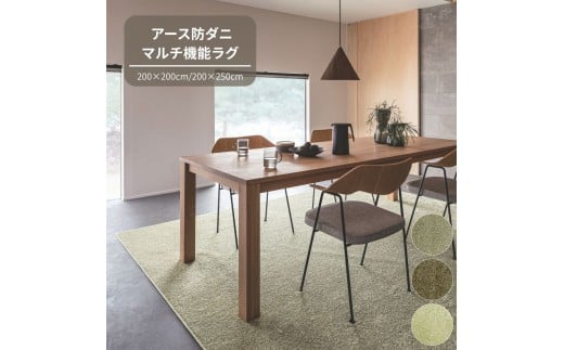 H146 3色から選べる防虫・防ダニ・防カビ・抗菌のマルチ機能無地ラグ 2サイズ展開 (ブラウン・200×200cm)【カーペット ラグ マット 防虫 防ダニ 幅 200cm 正方形 ムシカビクリーン アース製薬 大阪府 八尾】