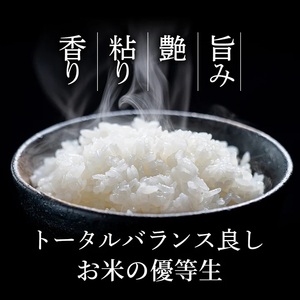 Y487 因幡の白兎米 ひとめぼれ 令和7年産 精米済 10kg（5kg×2袋）