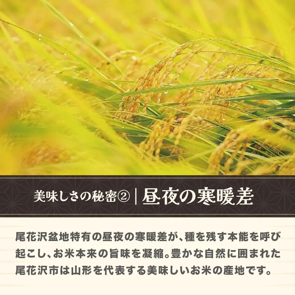 新米 令和8年産 玄米 つや姫 10kg ja-tsgxb10