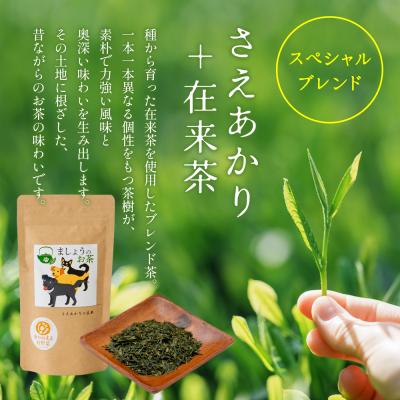 ふるさと納税 南さつま市 【鹿児島県産緑茶】ましょうのお茶「さえあかり」「さえあかり×在来茶」4本セット 計200g |  | 02