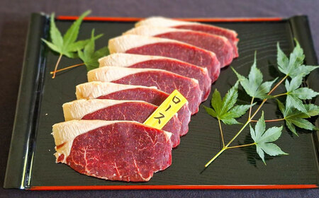 鹿BBQセット 5～6人前 (鹿スライス150g×3パック/鹿串75g×5本)　日田市 / 株式会社tracks[ARDE002]