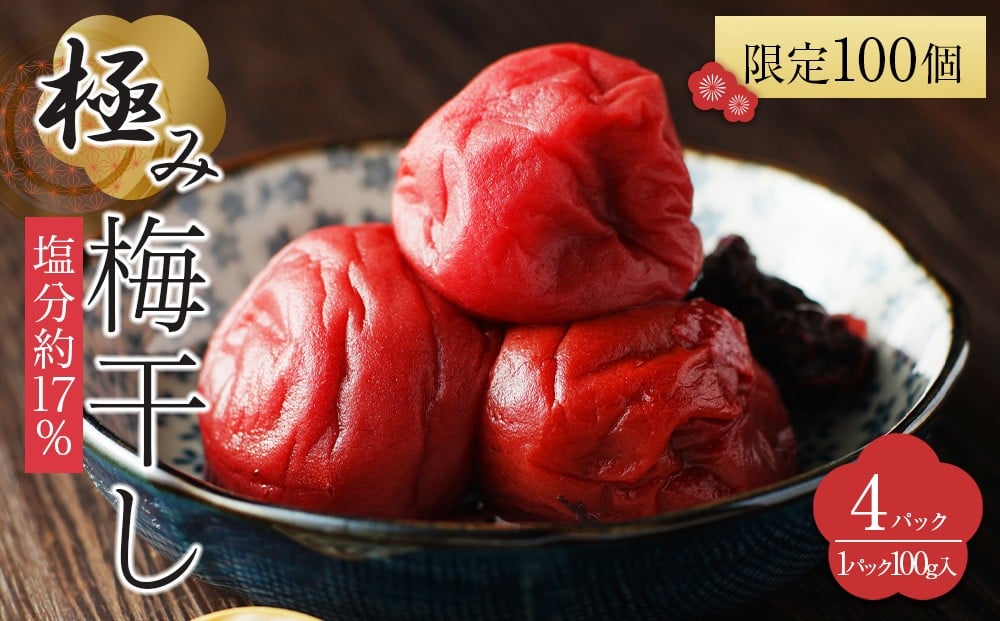 
                  角田市 岸浪園 極み梅干し 塩分約17％ 100ｇ×4パック 限定100個
                