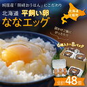 【ふるさと納税】北海道七飯町産 平飼い卵「ななエッグ」6個入り8パックセット(合計48個) NAAO002