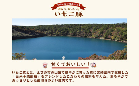 【6回定期便】豚肉 宮崎県産 いもこ豚 小間切れ 3kg × 6回 総合計 18kg しゃぶしゃぶ 小分け 豚 スライス 薄切り こま切れ 細切れ こまぎれ 豚丼 国産 九州産 宮崎 ブランド 冷凍 