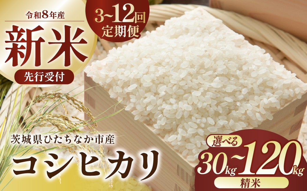 
                  【選べる回数】 令和8年産 コシヒカリ 精米 10kg 茨城県ひたちなか市産  |  定期便 3回 6回 12回 こしひかり コシヒカリ 米 お米 おこめ こめ 白米 精米 ごはん ご飯  おこめ 米  厳選米 茨城県産 産地直送 国産 冷めてもおいしい こしひかり コシヒカリ 美味しい こだわり 甘みが強い ふっくら 艶やか 茨城県ひたちなか市産
                