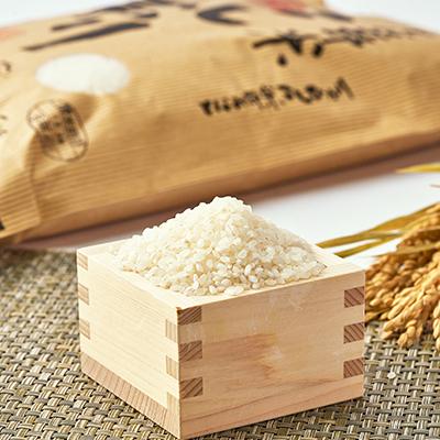 ふるさと納税 砺波市 【令和6年産】となみ野米こしひかり10kg |  | 03