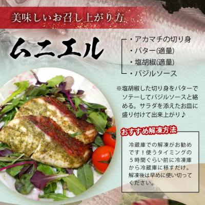 ふるさと納税 石垣市 【先行受付】高級ブランド魚 尖閣赤マチ 2〜3尾 合計約5kg 下処理済 【沖縄三大高級魚】 |  | 02