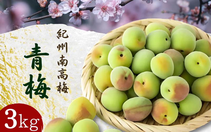 
            【先行予約】 青梅【紀州南高梅】 3kg（2026年5月～6月以降順次発送予定） / 生梅 梅干し 梅酒 梅ジャム 梅シロップ 産地直送 国産 和歌山 【tcs021】
          