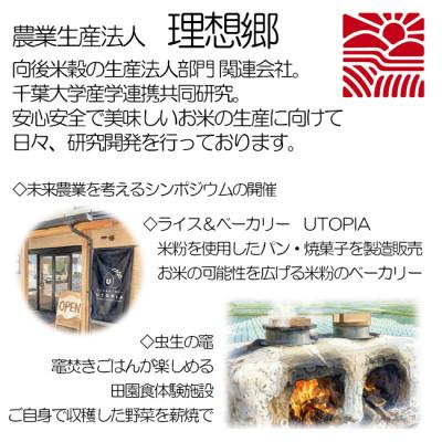 ふるさと納税 横芝光町 【毎月定期便】6ヶ月連続お届け!理想郷ミルキークイーン 精米(白米)5kg千葉大学共同研究米全6回 |  | 03