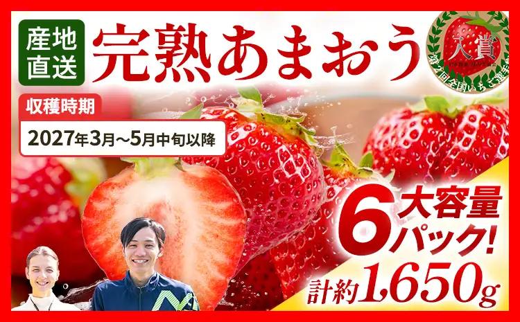 いちご あまおう 約275g×6P R9年3月～5月中旬順次発送 いちご