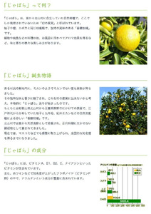 じゃばら果汁 360ml×10本 100％ストレート果汁 邪払 ジャバラ じゃばら 果汁 北山村 / 紀伊国屋文左衛門本舗_V6228