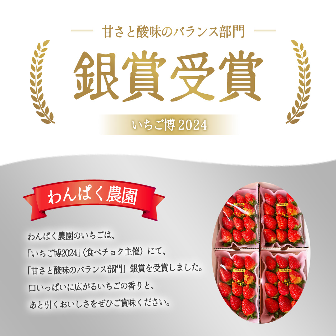 【2027年1月発送】 とちおとめ 約1120g （280g × 4パック）(BT002)