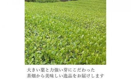 静岡 本山茶 1缶175g（特製木箱入り）