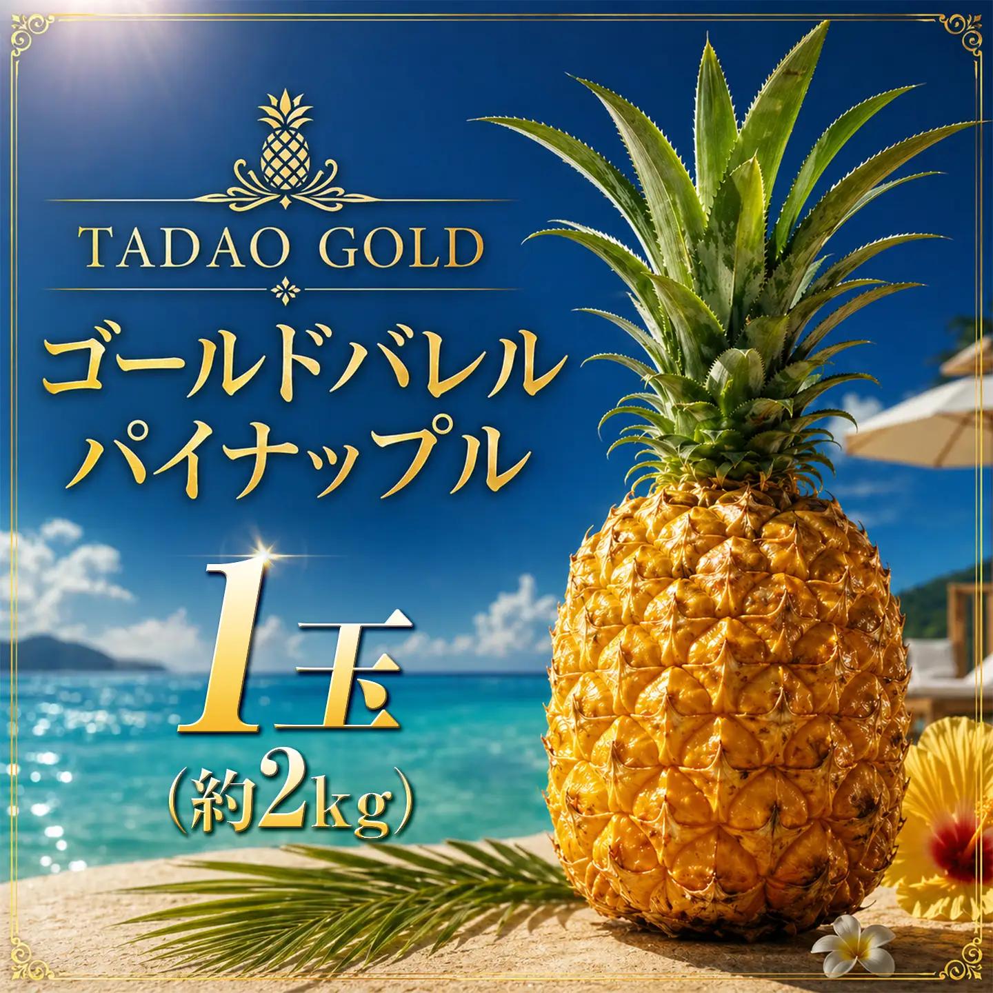 パイナップル TADAO GOLD 1玉 約2kg（多冠芽含む）