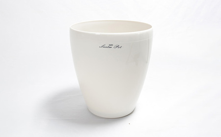 『沖縄の観葉植物』人気のフィカス ベンガレンシス6号 ラスターポット