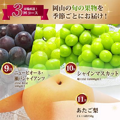 ふるさと納税 里庄町 【発送月固定定期便】岡山県産 フルーツ定期便B全3回 |  | 01