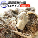 【ふるさと納税】牡蠣 厚岸産殻牡蠣 LLサイズ 15個 セット　【 魚介類 産地直送 生牡蠣 オイスター 海の幸 海鮮 生食用 生食用牡蠣 】