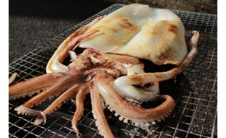 干物 詰め合わせ 干物