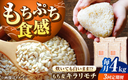 【全3回定期便】もち麦 キラリモチ 4kg（1kg×4袋）/ 雑穀 雑穀米 / 佐賀県 / 大塚米穀店 [41ANAD009]