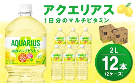 アクエリアス 1日分のマルチビタミン PET 2L (2ケース) 計12本【コカコーラ アクエリ スポーツ飲料 夏バテ予防 水分補給 ビタミン補給 ビタミンC ミネラル クエン酸 2リットル ペットボトル ペット スポーツ イベント】A1-C090036