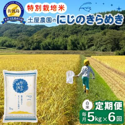 ふるさと納税 佐渡市 【毎月定期便】佐渡島産にじのきらめき 白米5kg 土屋農園 農家直送 特別栽培米　全6回