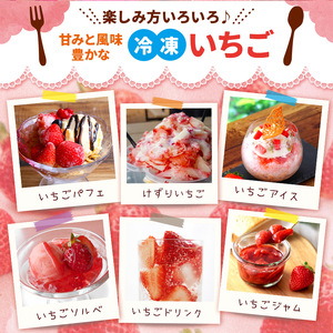 完熟・急速冷凍いちご 1kg | 苺 いちご イチゴ 果物 フルーツ ふるーつ 冷凍 いちご れいとう イチゴ 果実 果汁 冷凍 冷凍食品 冷凍いちご 朝採り 完熟 新鮮 スムージー オススメ 千葉県