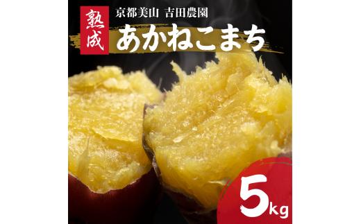 
                  産地直送 さつまいも 5kg 熟成 あかねこまち 京都丹波産 【※予約商品26年12月より順次発送】
                