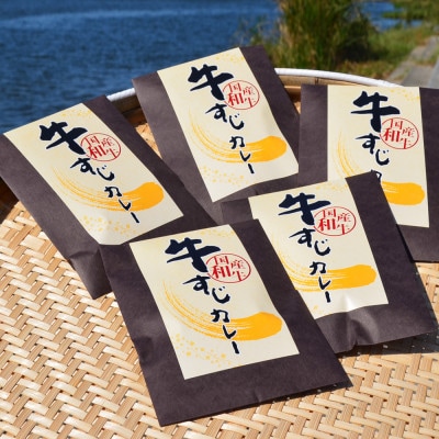 【発送月固定定期便】ゴロッ!と入ったコラーゲン牛すじカレー5食セット(岡垣町)全4回