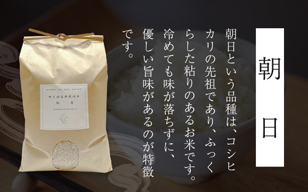 令和8年産先行予約 やくの自然栽培米 朝日 7分づき 5kg ゆたか（ゆたか自然農園）