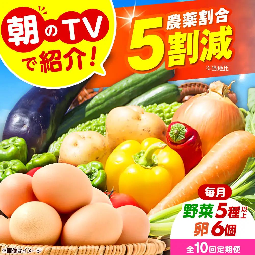 【全10回定期便】 米ぬかで育てた！旬のお野菜＆平飼い卵セット ベジ彩ファーム[AOEJ007] 野菜定期便
