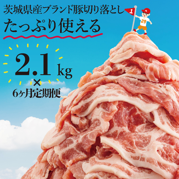 【数量限定】【6か月定期便】リピーター続出！茨城県産豚ブランド切り落とし計12.6kg(2.1kg×6回)肉 豚肉 切り落とし こま切れ 小分け 訳あり 真空 真空パック 冷凍 国産 茨城県産 産地直送 肩ロース ウデ モモ バラ 高評価 人気 内田本店 茨城県 水戸市（EC-9_2）