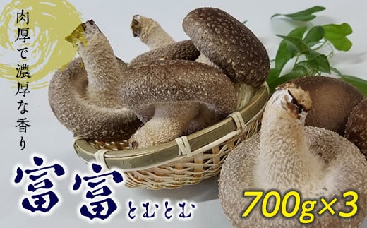 
            肉厚で濃厚な香りの椎茸「富富」(とむとむ） きのこ キノコ 旨みたっぷり ワンランク上 F21K-169
          