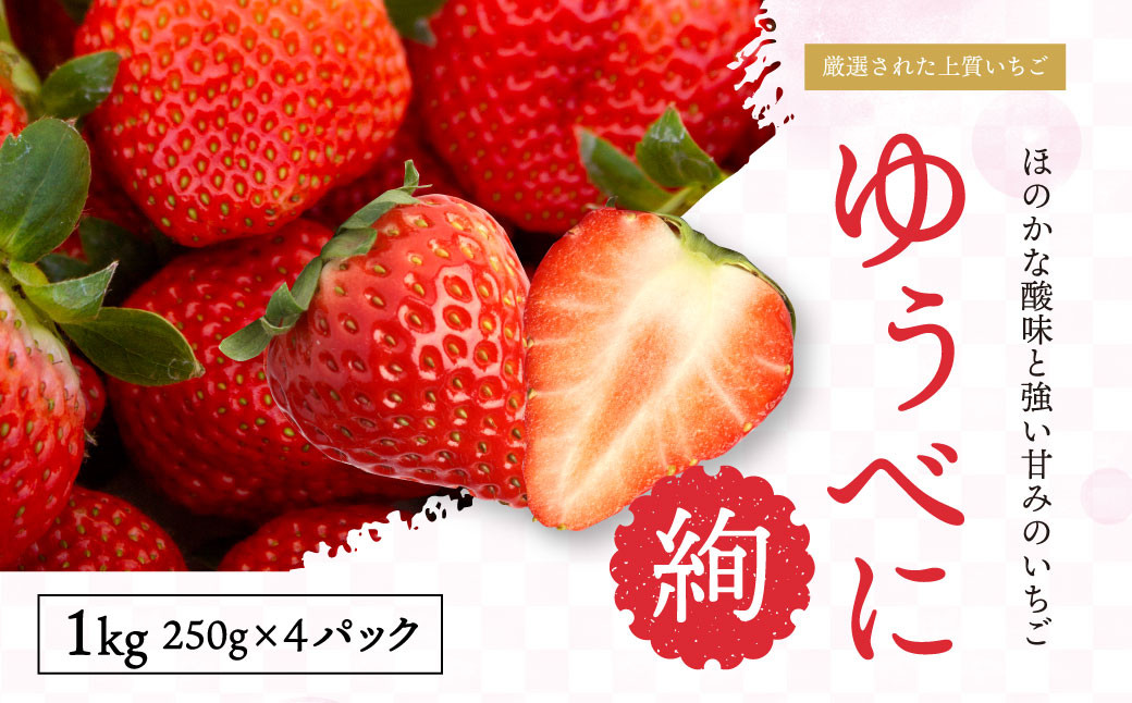 
            絢音ベリー農園 "絢"  いちご 計1kg (250g×4)【ゆうべに】【2024年12月上旬～2025年2月下旬発送予定】
          