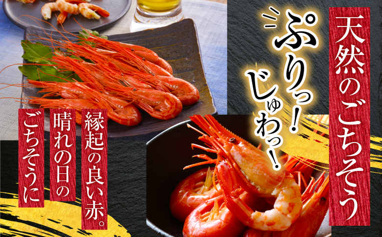 【北海道根室産】北海しまえび250g×2P(計22～32尾) B-20013