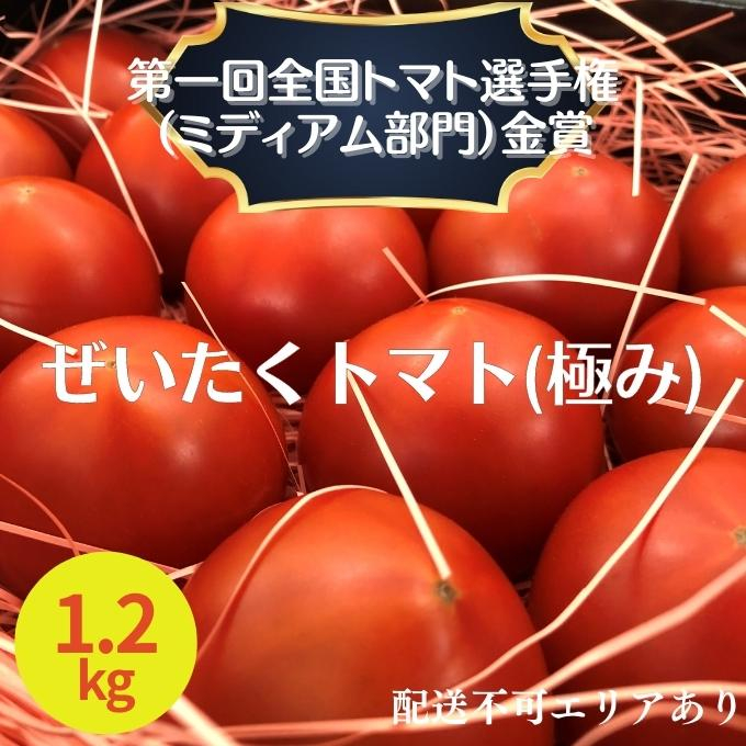 
ぜいたく トマト (極み) 1.2kg 第一回全国トマト選手権（ミディアム部門）金賞
