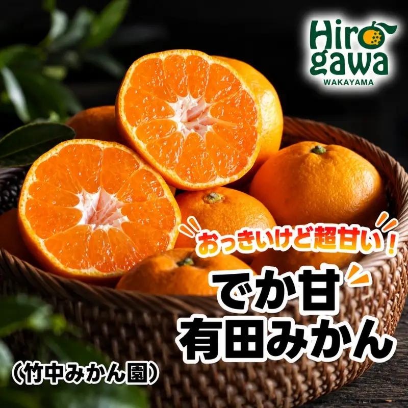 【でか甘】有田みかん 5kg 大玉みかん L～2L混合【tkn004-l-5A】