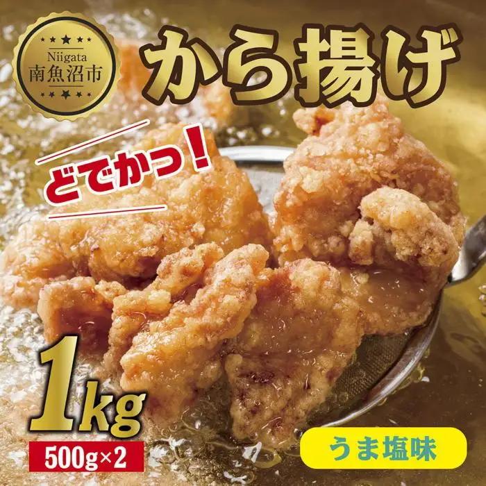 どでか味付けから揚げ うま塩味 500g×2パック 計1kg 大容量 唐揚げ からあげ から揚げ しお 塩 揚げ物 冷凍 惣菜 簡単 調理 肉 おかず 味付き 野崎フーズ 新潟県 南魚沼市｜チルド
